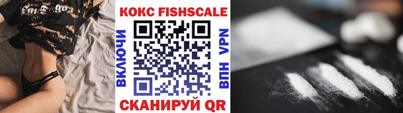 Cocaine Fish Scale  гидра как войти  Тогучин  как найти  