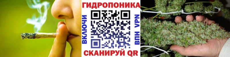 Бошки марихуана AK-47  даркнет сайт  Тогучин 